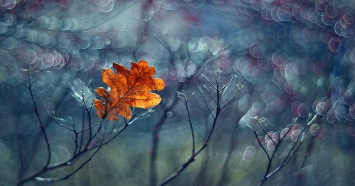 My Impressionist Photos Of Autumn In Poland