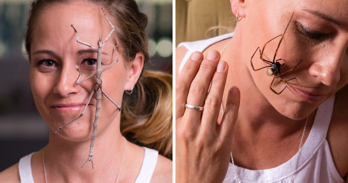 Meet The Steve Irwin Of The Spider World