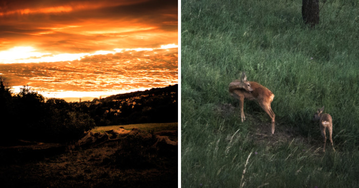 Photography – My Therapy