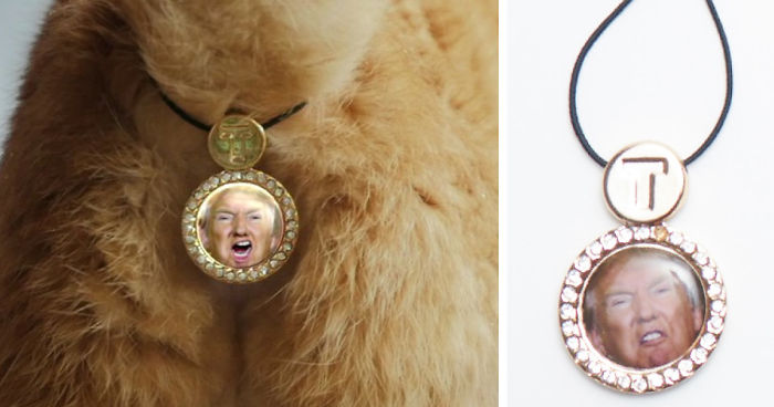 CatAssThrophy: Cat Jewelry To Cover Their Bums