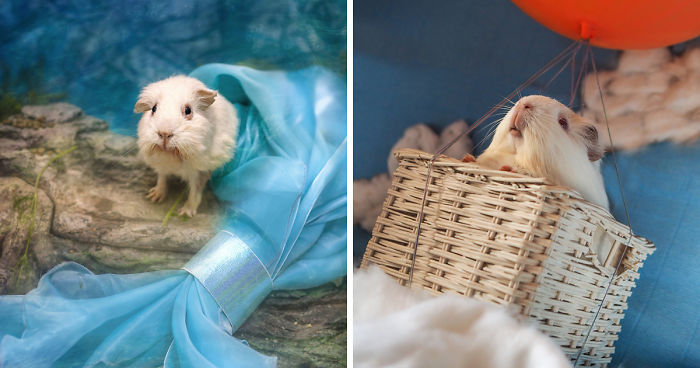 I Photograph Critters Rescued From Labs Like Children’s Book Characters To Help Them Find Their Happy Endings