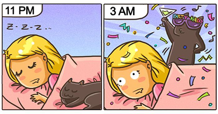 101 Comics That Purrfectly Capture Life With Cats