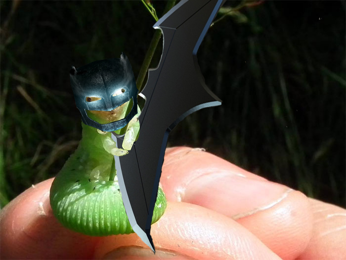 Tell Me Superman. Do You Bleed?