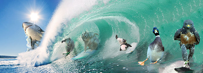 He Decided To Join The Party.