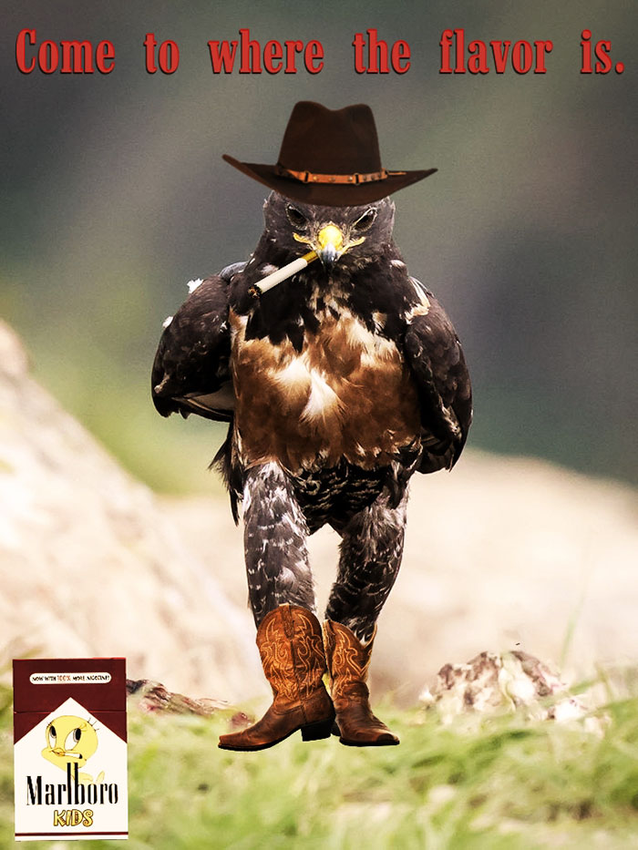 Come To Where The Flavor Is