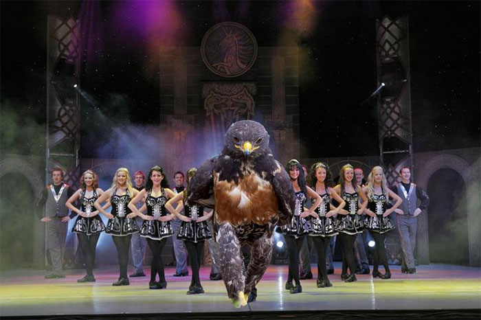 Bird Of The Dance