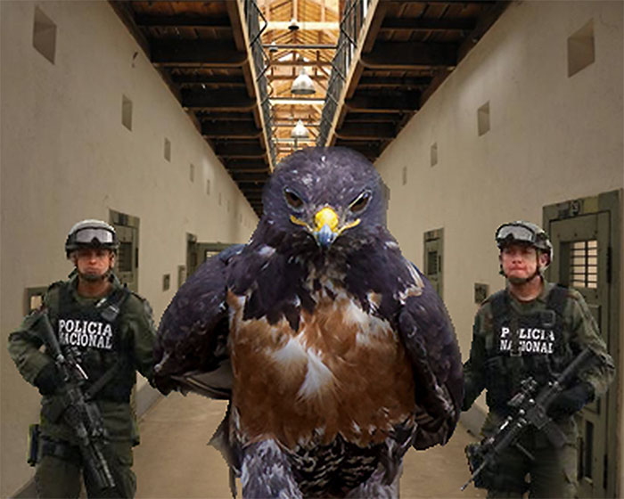 The Fugitive Is In Custody.