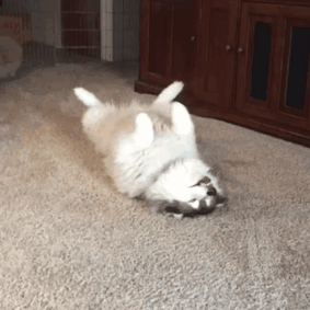 If I Lay Here, If I Just Lay Here