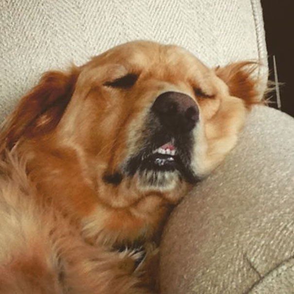 Quigley Was Out Partying Too Late Again