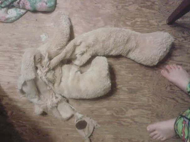 great-dane-owl-toy-pet-5 great-dane-owl-toy-pet-5