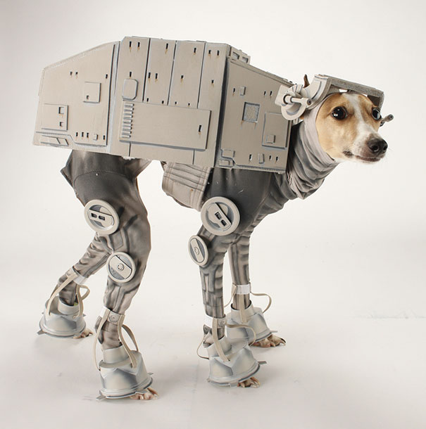 AT-AT Dog 
