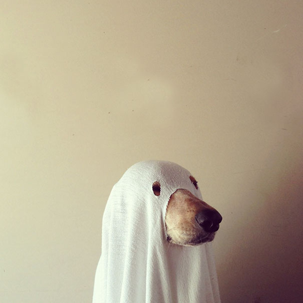 Spooky Ghost
