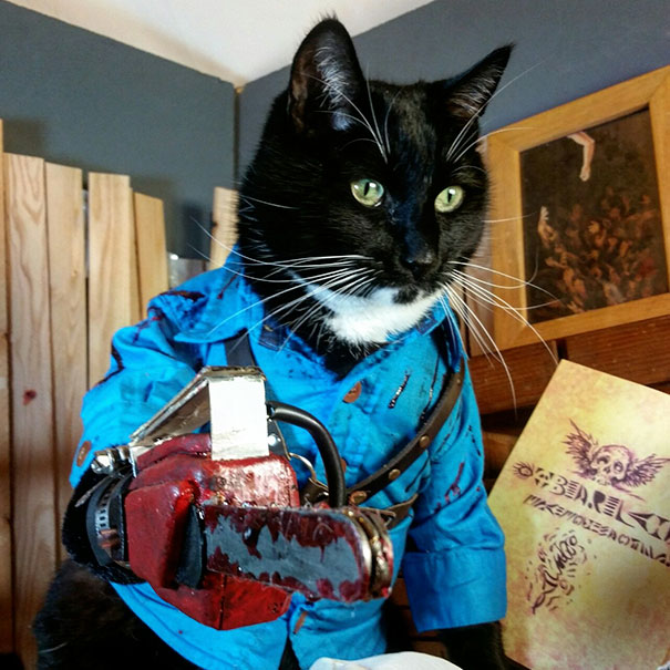 Ashley “Ash” Williams From Evil Dead