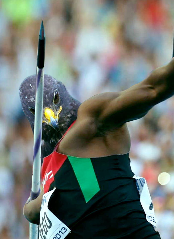 How High Can A Hawk Throw