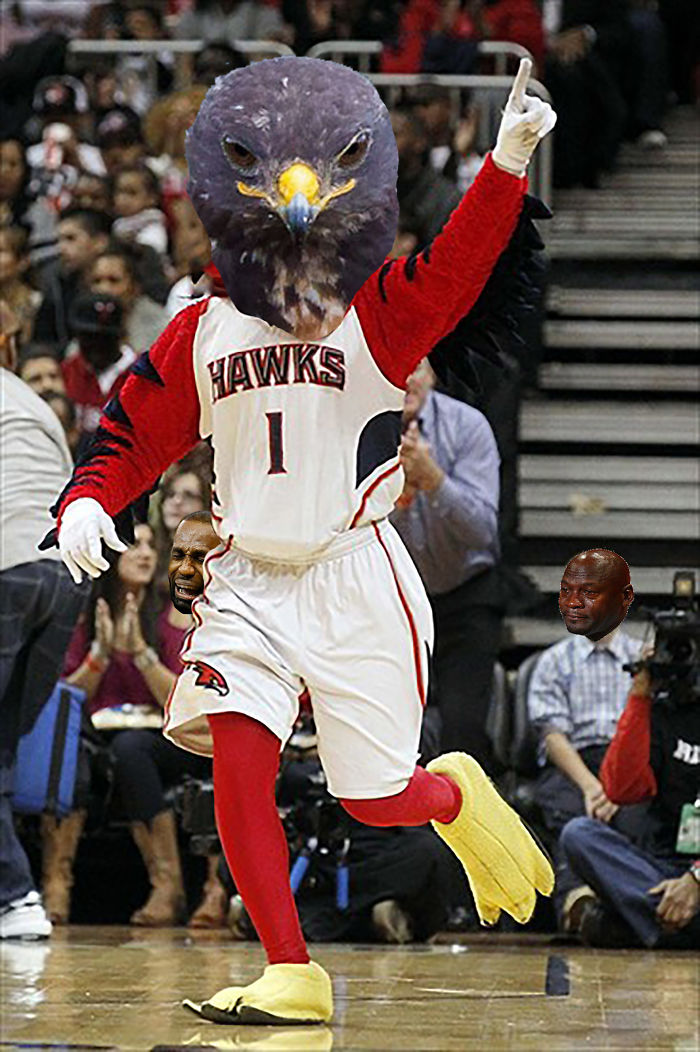 Hawks On Hawks On Hawks