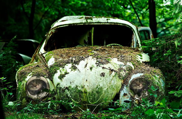 You Never Know Where Ceiling Cat May Appear.