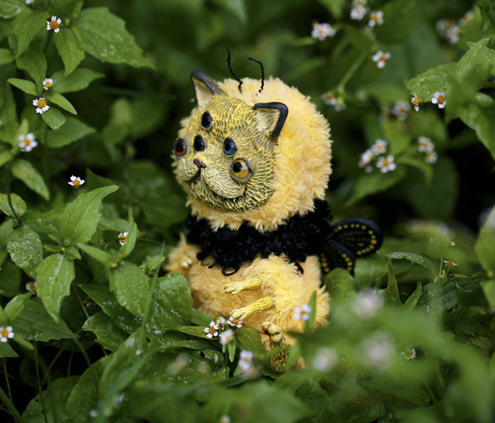 Cute And Creepy Dolls