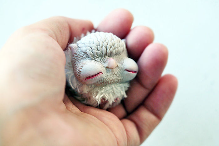 I Create Super Cute And Creepy Dolls