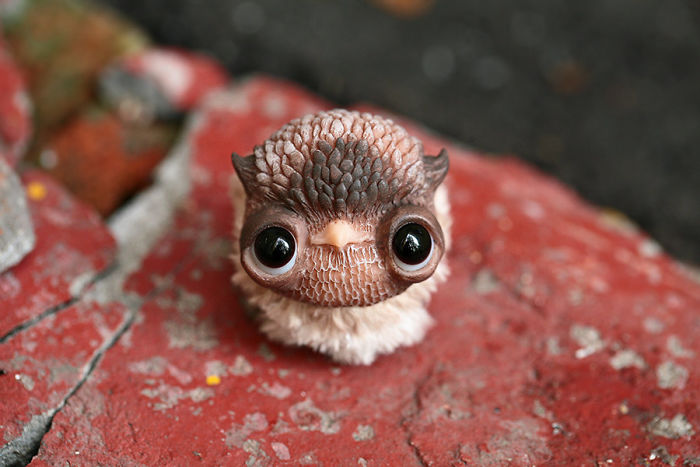 I Create Super Cute And Creepy Dolls