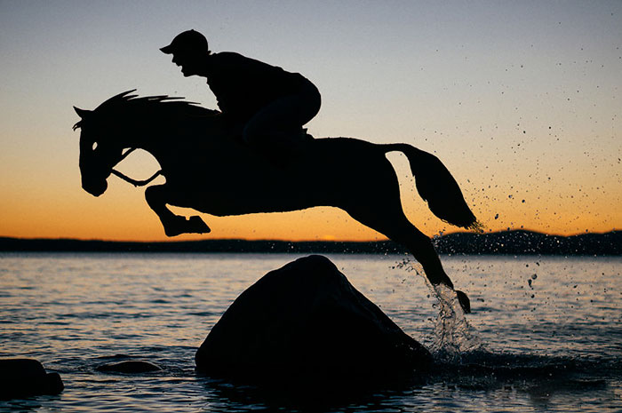 I Turn Simple Cardboard Cutouts Into Magical Horse Silhouettes