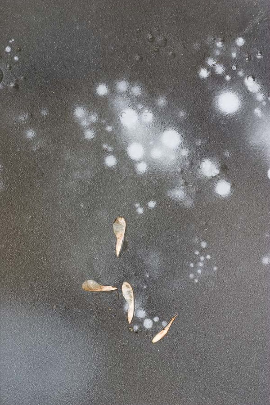 Instead Of Ice Fishing I Take Photos Of Ice Fishing Holes.