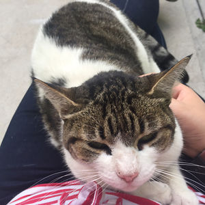 ruthis_sunshinelight avatar