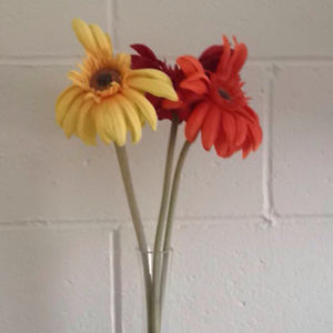 karishmapaul786 avatar