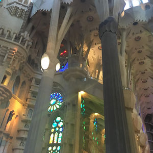 raylebucheron avatar