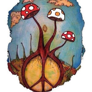 techieflowerchild avatar