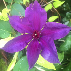 geneandhilary avatar