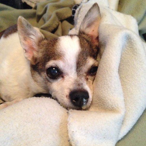 A Little Bit Of Snot Never Hurt Anyone!