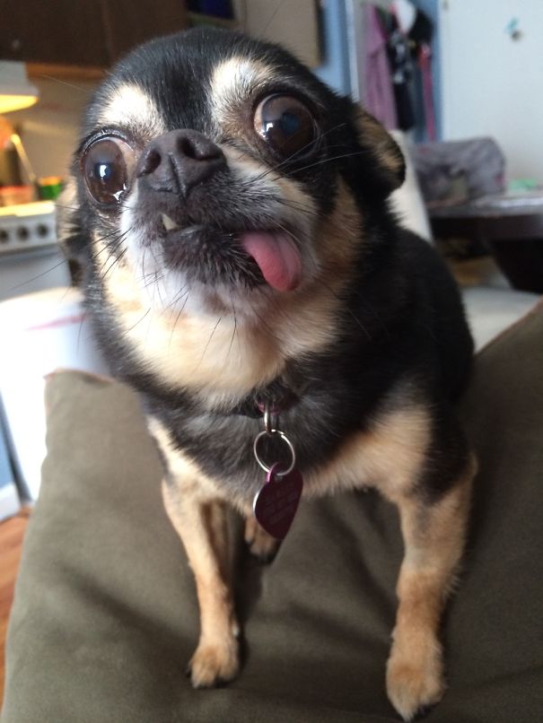 A Face Only A Mother Could Love