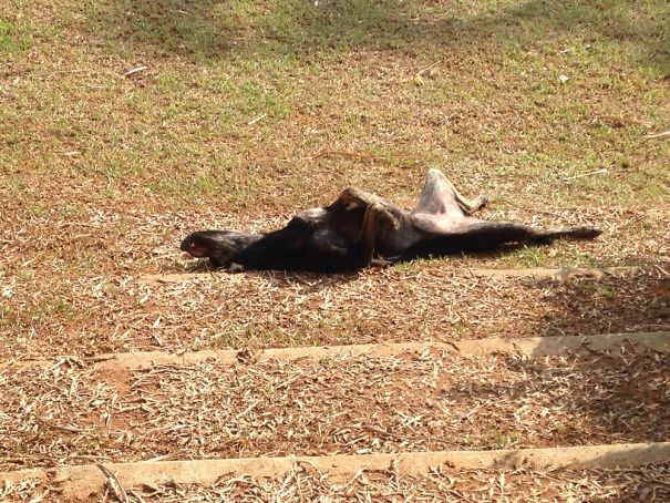 When You Party Too Hard