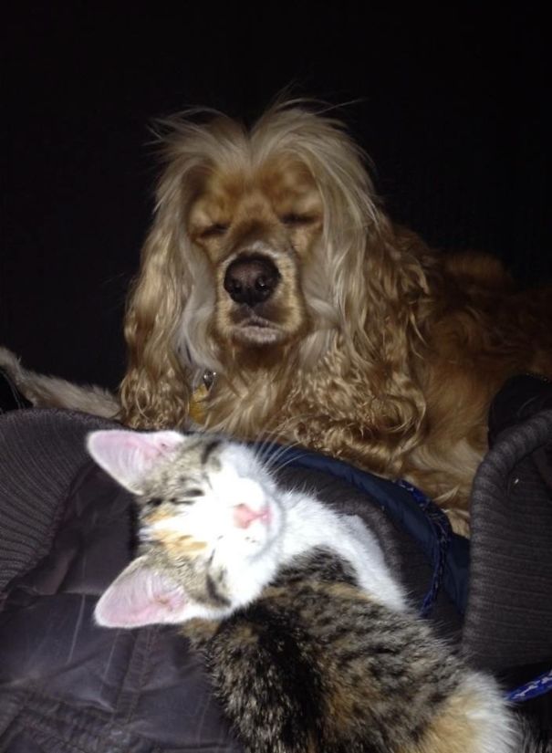 I Wonder About These Two...