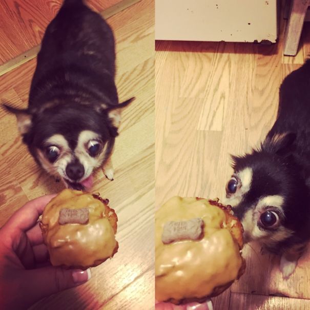 They Were Very Excited For The Doggie Pupcake!!
