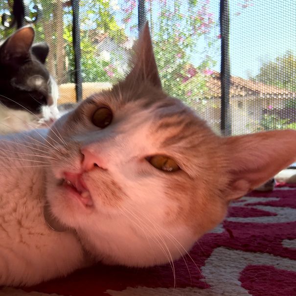 Wait! Did You Already Take It?