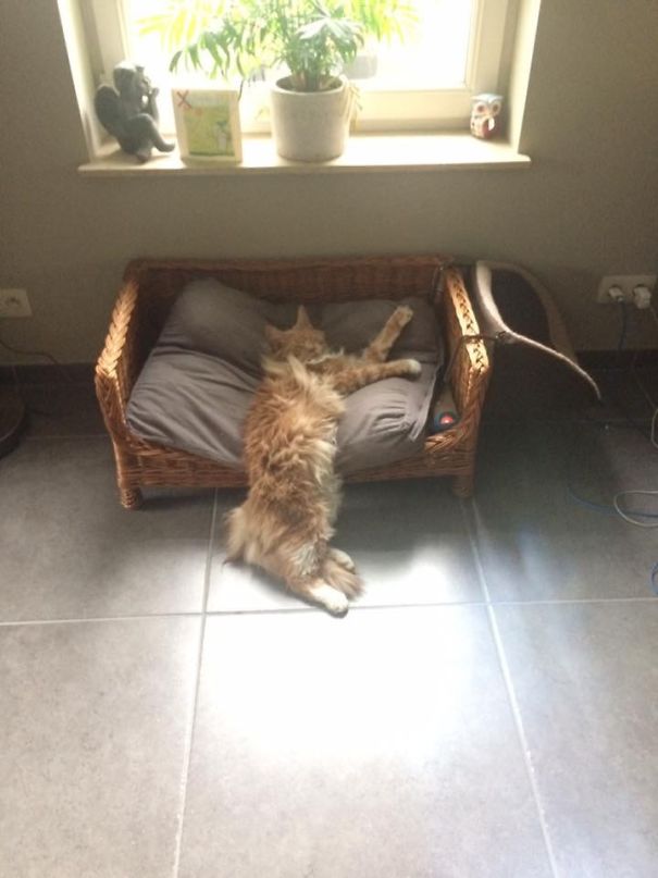 The Definition Of Lazy Right There...