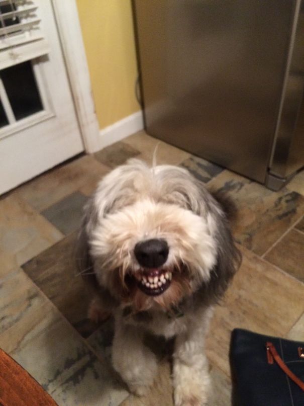 Hey, Man! You Should Really Try The Red One's, Man. They're Freekin' Awesome!