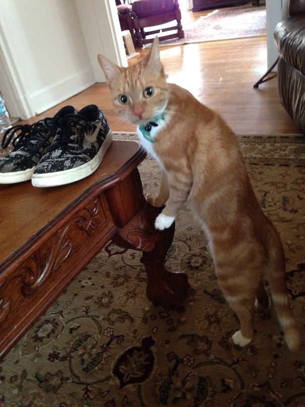 Thought This Belonged Here