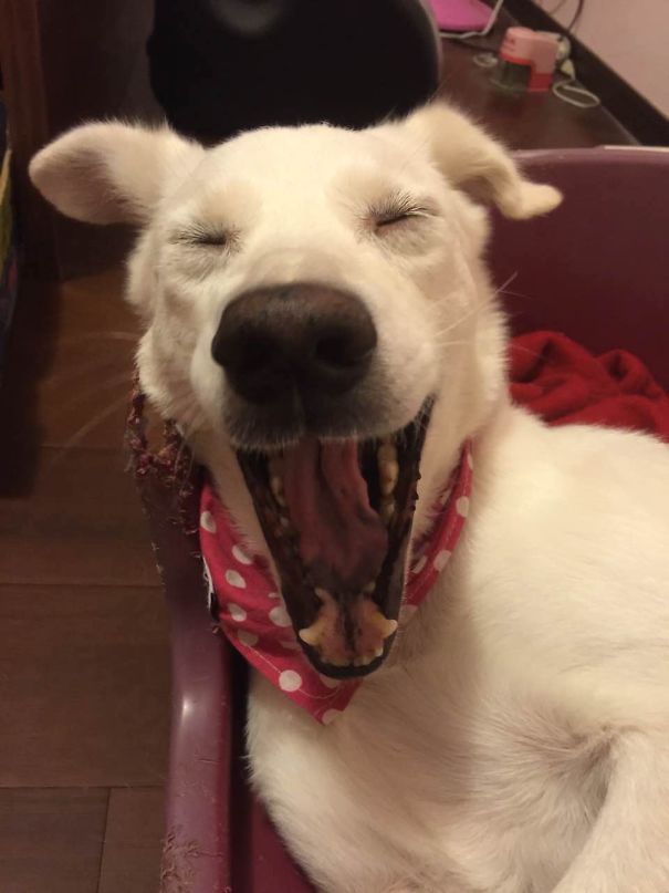 Sooooo Sleepy Right Now