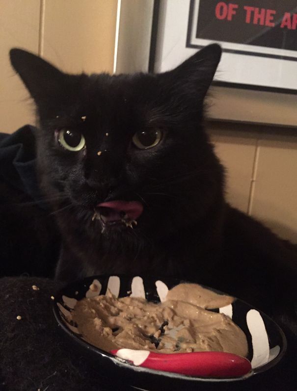 Do I Have Something On My Face?