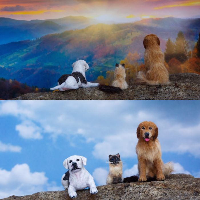 Tribute To Homeward Bound The Incredible Journal