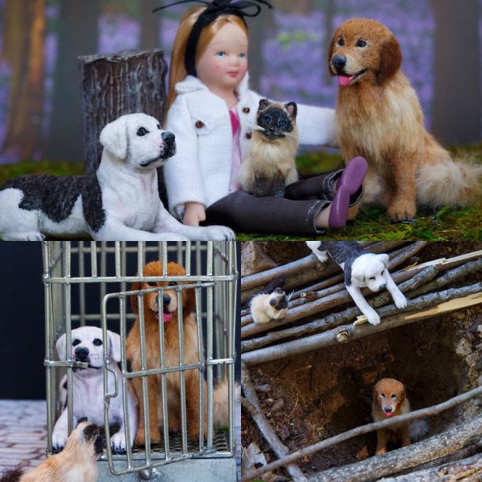 Tribute To Homeward Bound The Incredible Journal