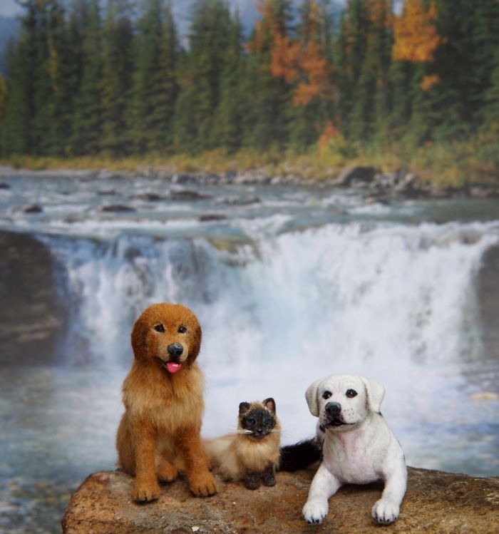 Tribute To Homeward Bound The Incredible Journal