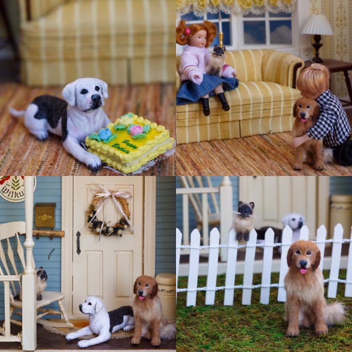 Tribute To Homeward Bound The Incredible Journal