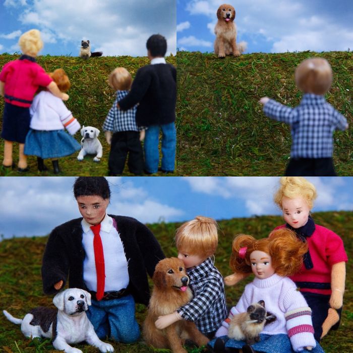 Tribute To Homeward Bound The Incredible Journal