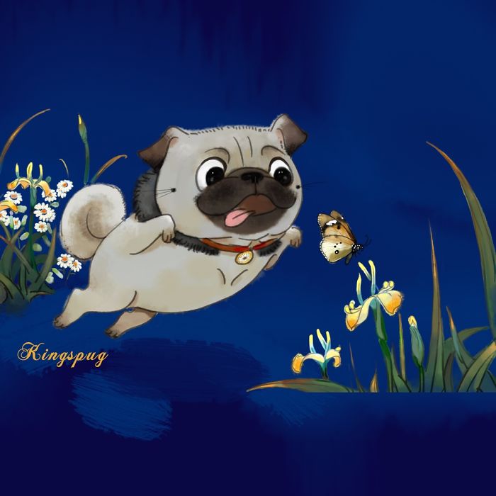 I Create Brand Kingspug,share With Pug Fans!