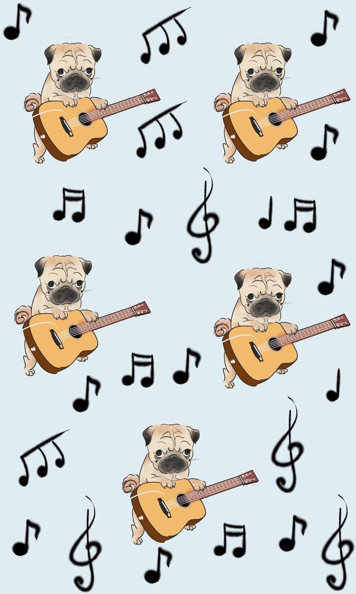 I Create Brand Kingspug,share With Pug Fans!