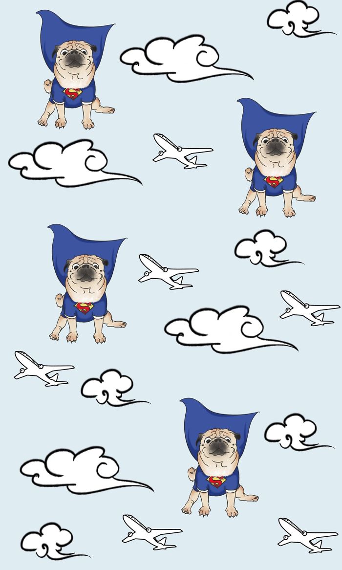 I Create Brand Kingspug,share With Pug Fans!