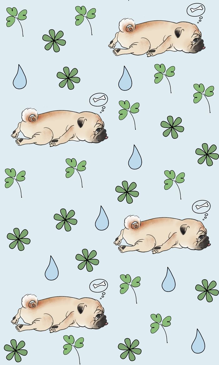 I Create Brand Kingspug,share With Pug Fans!